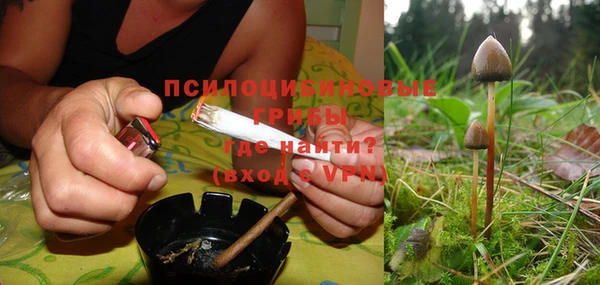 бошки Алзамай