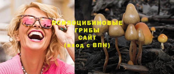 первитин Алексеевка