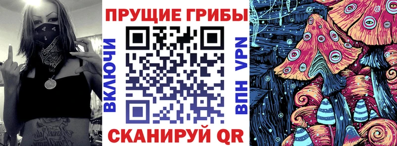 где продают   Любань  Галлюциногенные грибы ЛСД 